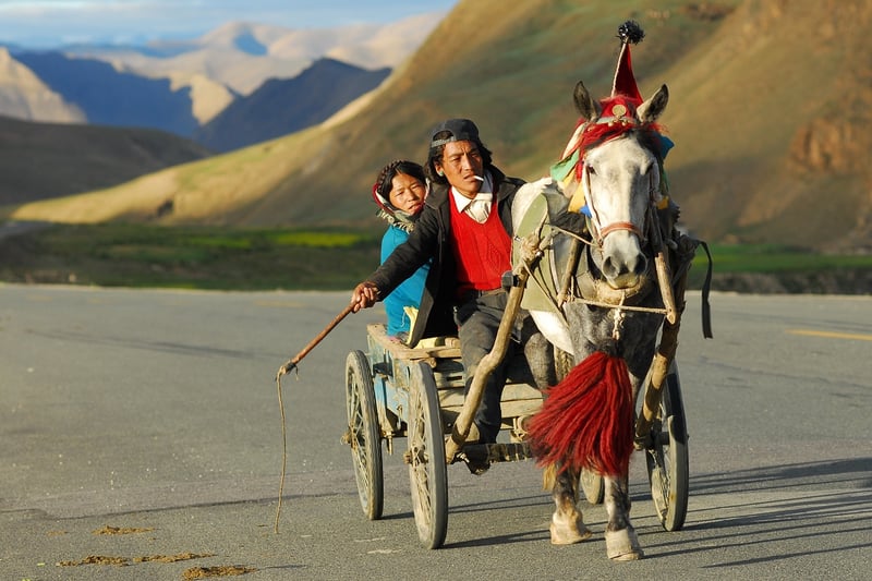 Horse-Drawn Carriage